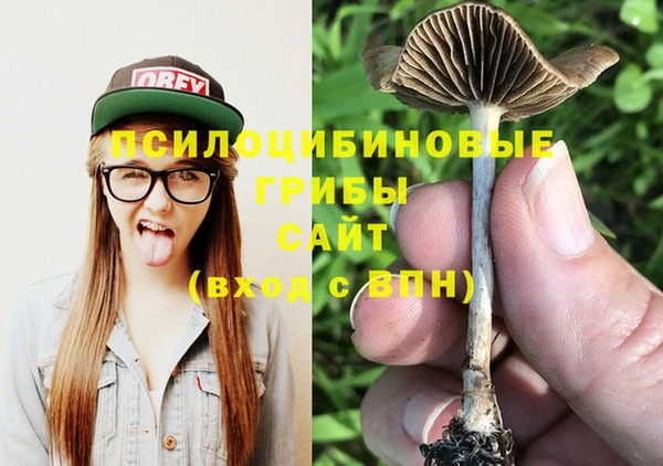 винт Абинск